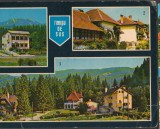 CPIB 15414 - CARTE POSTALA - TIMISUL DE SUS, MOZAIC, Circulata, Fotografie