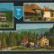 CPIB 15414 - CARTE POSTALA - TIMISUL DE SUS, MOZAIC