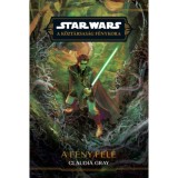 A f&eacute;ny fel&eacute; - Claudia Gray