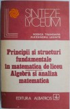 Principii si structuri fundamentale in matematica de liceu. Algebra si analiza matematica &ndash; Rodica Trandafir, Alexnadru Leonte