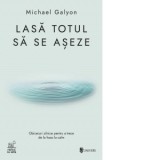 Lasa totul sa se aseze - Iulia Anania, Michael Galyon
