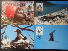 Ascension-Fauna ,pasari -set complet ilustrate maxime foto