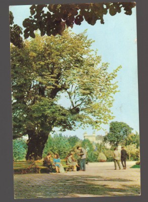 CPIB 20781 CARTE POSTALA - IASI. TEIUL LUI M. EMINESCU, GRADINA COPOU, RPR foto