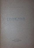 LIMPEZIMI - ION PILLAT