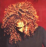 CD Janet &lrm;&ndash; The Velvet Rope (-VG), Pop