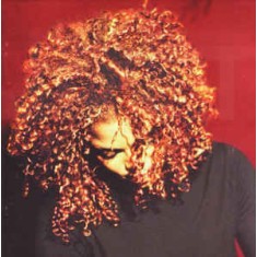 CD Janet &lrm;&ndash; The Velvet Rope (-VG)