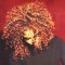 CD Janet &lrm;&ndash; The Velvet Rope (-VG)