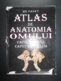 Cumpara ieftin Ion Pasat - Atlas de anatomia omului. Capul si gatul (1995, editie cartonata)