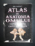 Ion Pasat - Atlas de anatomia omului. Capul si gatul (1995, editie cartonata)