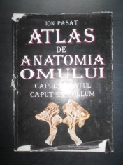 Ion Pasat - Atlas de anatomia omului. Capul si gatul (1995, editie cartonata)
