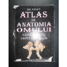 Ion Pasat - Atlas de anatomia omului. Capul si gatul (1995, editie cartonata)