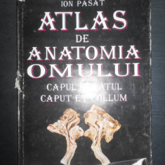 Ion Pasat - Atlas de anatomia omului. Capul si gatul (1995, editie cartonata)