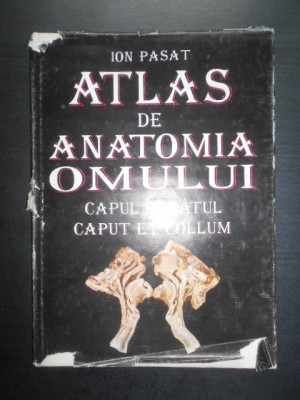 Ion Pasat - Atlas de anatomia omului. Capul si gatul (1995, editie cartonata) foto