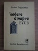 Adrian Anghelescu - Vedere dinspre Eyub
