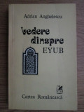 Adrian Anghelescu - Vedere dinspre Eyub