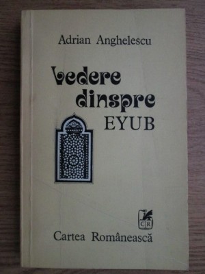 Adrian Anghelescu - Vedere dinspre Eyub foto