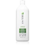 Biolage Strength Recovery șampon pentru par deteriorat 1000 ml
