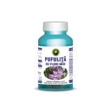 PUFULITA CU FLORI MICI 60CPS, Hypericum