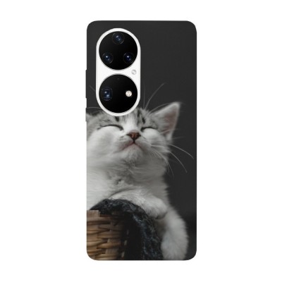 Husa compatibila cu Huawei Nova 9 model Smug cat, Silicon, TPU, Viceversa foto