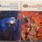 Fiii omului cu inima de piatra (2 volume) &ndash; Jokai Mor