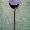 Insigna TAROM anii &#039;70 tip pin varianta