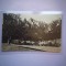 Carte postala - Busteni - Vedere partiala cu muntii (No 604), circulata