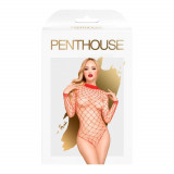 Body Scandalous S/L, Penthouse