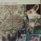 HIBERNAREA O CERTITUDINE A LUMII ANIMALE - GHEORGHE NASTASESCU