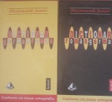 MONICA LIVIA PLAMADEALA - DICTIONAR GERMAN ROMAN, ROMAN GERMAN - 2 VOLUME