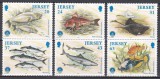Jersey 1998 - Pești - Anul Internațional al Oceanului, MNH