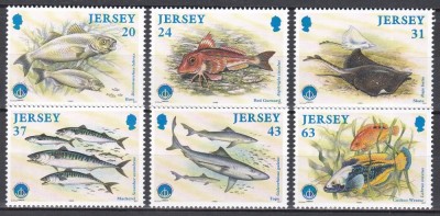 Jersey 1998 - Pești - Anul Internațional al Oceanului, MNH foto