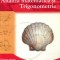 Memorator analiza matematica si trigonometrie, pentru clasele 9-12