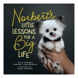 Norbert&#039;s Little Lessons for a Big Life