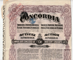 Actiuni Concordia 250 lei 1924 + 3 cupoane ptr. dividende anuale_serie 1302003 foto