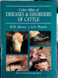 Color Atlas of Diseasea &amp; Disorders of cattle