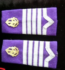 C2 9 - Grade militare - maistru militar logistica - piesa de colectie!
