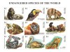 NEVIS 1998 - Specii amenintate cu disparitia / colita MNH, Nestampilat