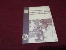 MICROORGANISMELE SOLULUI AJUTOARELE NOSTRE INVIZIBILE IN MARIREA PRODUCTIEI 1954 foto