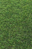 Cumpara ieftin Gazon Artificial OASIS 30 Premium BELGIAN, Lungime Fir 30 mm, Latime 1m, Marime 100 x 200 cm, Verde, Imitatie Perfecta Gazon Natural, Antialergic, Pol