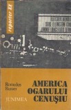 America ogarului cenusiu de Romulus Rusan, Editura Junimea 1979, Literatura Romana