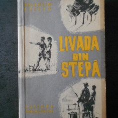 VALENTIN KATAEV - LIVADA DIN STEPA (1959)