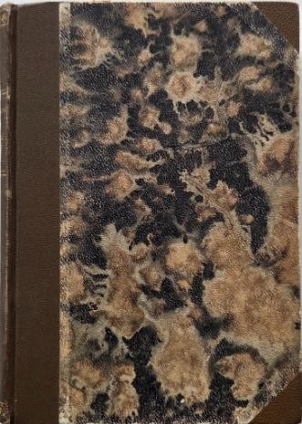 Statui (Sonete) - Mihai Codreanu