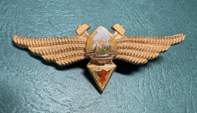 Insigna Tehnic Cl 2 aviatie militara 1966 1977 RSR foto