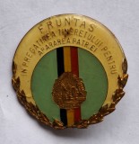 FRUNTAS in pregatirea tineretului pentru apararea patriei - insigna de Pionieri