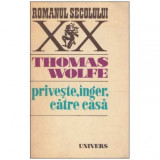 Thomas Wolfe - Priveste, inger, catre casa - 125353