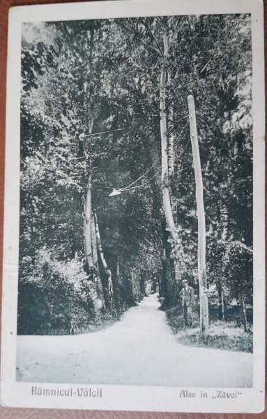 Carte postala, Ramnicul-Valcii, alee in Zavoi, perioada interbelica