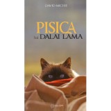 David Michie - Pisica lui Dalai Lama - 138377