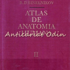 Atlas De Anatomia Humana II - R. D. Sinelnikov