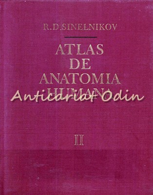 Atlas De Anatomia Humana II - R. D. Sinelnikov foto