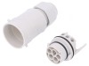 Conector Alimentare AC Terminal Șurub 9-12mm 16A